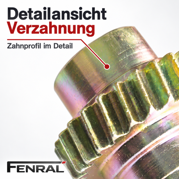 Zwei Zahnräder mit Dichtringen für den Verdeck-Flügelantrieb kompatibel für Opel Astra H TwinTop – FENRAL