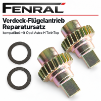 Zwei Zahnräder mit Dichtringen für den Verdeck-Flügelantrieb kompatibel für Opel Astra H TwinTop – FENRAL