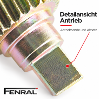 Zwei Zahnräder mit Dichtringen für den Verdeck-Flügelantrieb kompatibel für Opel Astra H TwinTop – FENRAL